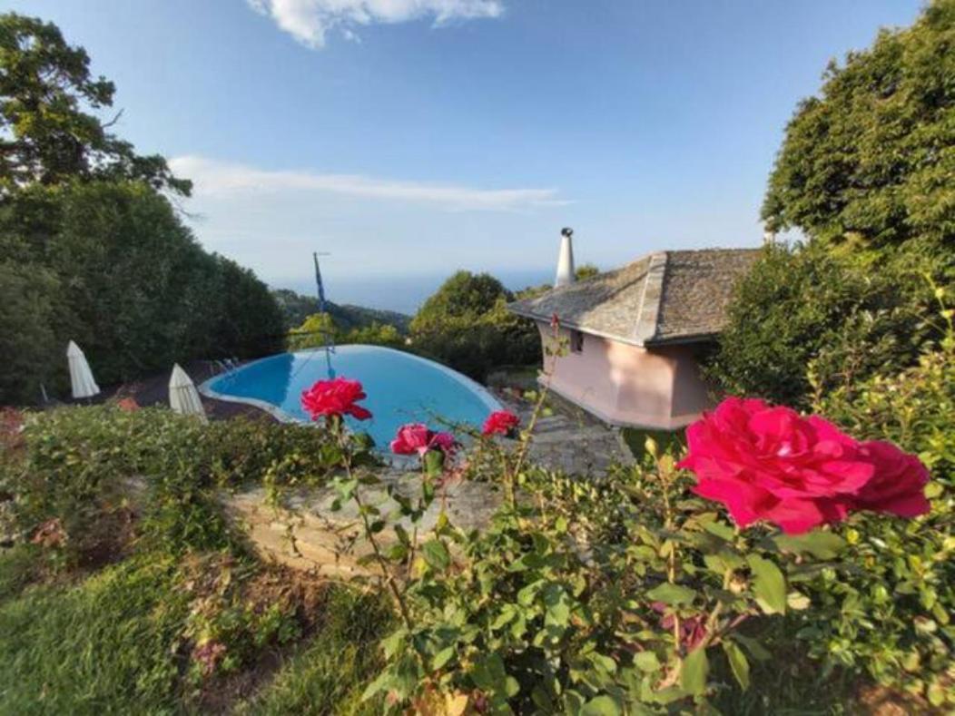 Villa Tsagkarada Country Estate With Pool Esterno foto